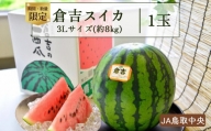 倉吉スイカ1玉 （JA鳥取中央）３L すいか 鳥取 大玉 果物 フルーツ スイカ 数量限定 期間限定