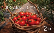 【2024年産予約受付】 フルーツトマト 2kg のんの畑北海道 ミディトマト 数量限定