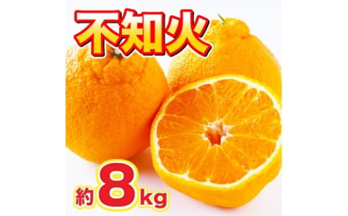 佐賀県産 不知火 約8kg 114-B1013