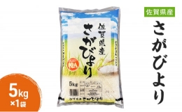【ふるさと納税】米 5kg 佐賀県 さがびより 5kg×1袋 お米