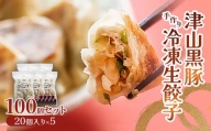 津山黒豚手作り冷凍生餃子(100個セット) TY0-0374