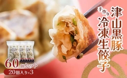 【ふるさと納税】津山黒豚手作り冷凍生餃子(60個セット) TY0-0375