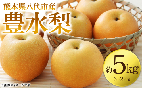 【先行予約】 豊水梨 約5kg (6～22玉) 梨 なし ナシ フルーツ くだもの 果物 旬 熊本県 八代市 【2026年8月中旬より順次発送】 526648 - 熊本県八代市