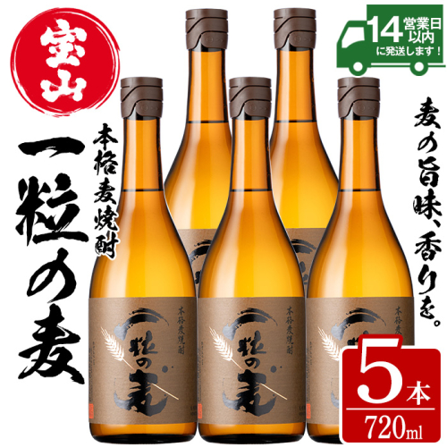No.912 一粒の麦(720ml×5本) 焼酎 麦焼酎 酒 アルコール 麦 家飲み 宅飲み 大麦 大麦麹 セット 常温 常温保存【西酒造】 526788 - 鹿児島県日置市