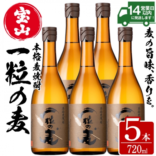 No.912 一粒の麦(720ml×5本)【西酒造】 526788 - 鹿児島県日置市 | au