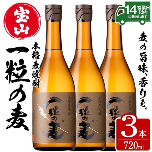 No.913 一粒の麦(720ml×3本)焼酎 麦焼酎 酒 アルコール 麦 家飲み 宅飲み 大麦 大麦麹 常温 常温保存【西酒造】 526789 - 鹿児島県日置市