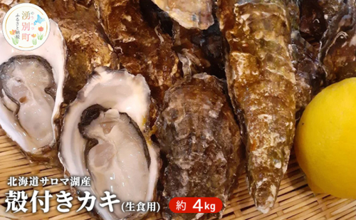 国内消費拡大求む】先行予約 北海道 サロマ湖産 殻付き牡蠣 約3.5kg 生