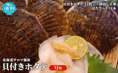 北海道 サロマ湖産 貝付き ホタテ 12枚 【日時指定不可】 帆立 ほたて 国産 殻付き 冷蔵 魚貝類 海鮮 美味しいアミノ酸 甘み 旨味 凝縮 ぷりぷり 新鮮 幸せ フライ 刺身  526852 - 北海道湧別町