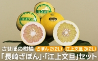 T848 させぼの柑橘「長崎ざぼん」・「江上文旦」セット