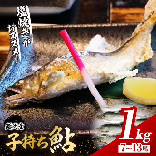 【延岡産】小分けで便利!冷凍子持ち鮎1kg N017-YZA173
527127 - 宮崎県延岡市