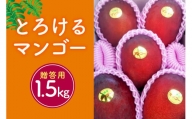 【2024年発送】かねよしマンゴーの甘くとろけるマンゴー1.5kg（贈答用）