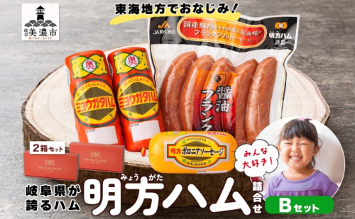 明方 ハム Bセット ボロニア ソーセージ フランクフルト JA ブランド 豚肉 お肉 国産 熟成 塩分 控えめ 豚腸 バーベキュー BBQ 加工品 お取り寄せ 贈答 ギフト 送料無料 めぐみの農業協同組合 岐阜県 美濃市 527501 - 岐阜県美濃市