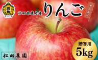 [先行予約]贈答用 りんご「サンふじ」5kg(14〜18玉前後)[松田農園]●2026年2月上旬発送開始 農家直送 産地直送 こだわり りんご リンゴ 林檎 ふじ フジ 果物 くだもの フルーツ 秋田県 秋田 あきた 鹿角市 鹿角 かづの 5KG 5kg