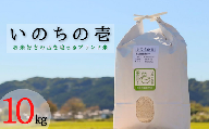 【特別栽培米】≪令和5年産新米≫垂井町産いのちの壱10kg