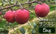 2408長野県産りんご（サンふじ）5kg