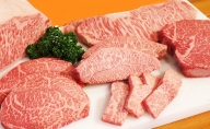 幻の田子牛 逸品セットA/牛肉1.1kg特製タレ付