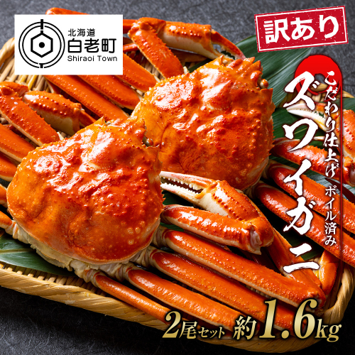 訳あり ズワイガニ 姿 ボイル済み 冷凍 2尾セット 約1.6kg 527756 - 北海道白老町
