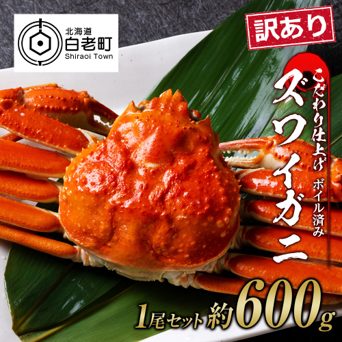 訳あり ズワイガニ 姿 ボイル済み 冷凍 1尾セット 約600g 527760 - 北海道白老町