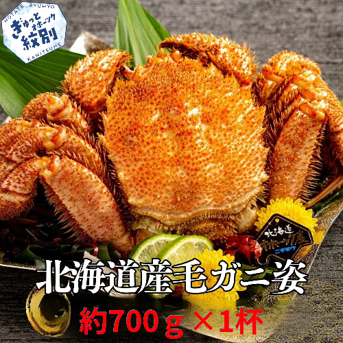 16-191 【訳あり】北海道産毛ガニ　約700g×1杯 527825 - 北海道紋別市