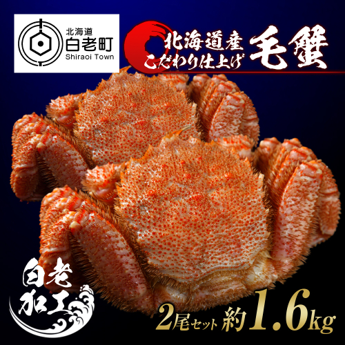 毛蟹 ボイル済み 冷凍 2尾セット 約1.6kg 527906 - 北海道白老町