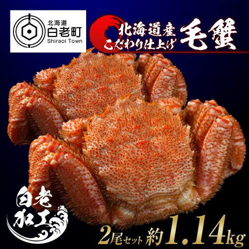 毛蟹 ボイル済み 冷凍 2尾セット 約1.14kg 527916 - 北海道白老町