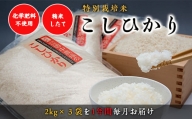 “土づくりの恵み” つやっつやの特別栽培米お届け 12ヶ月コース