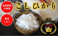 特別栽培米コシヒカリ10kg
