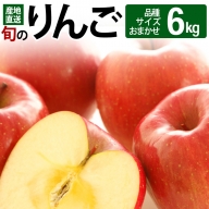 《先行受付》旬のりんご 6kg (品種、サイズおまかせ) 令和5年産 (11～12月頃発送) ご自宅向け 産地直送 リンゴ 林檎 フルーツ