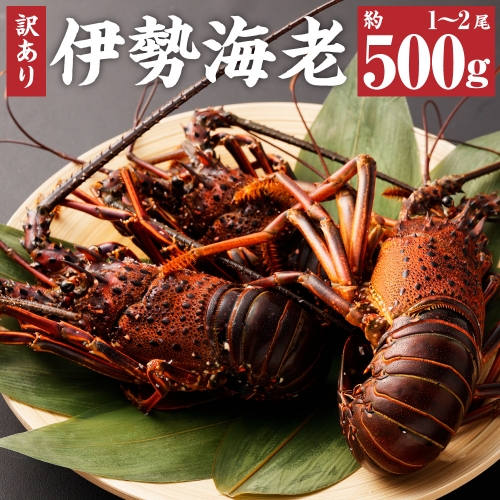 先行予約【訳あり】天然・伊勢海老　約500g（1匹～2匹入り）海鮮BBQ 甲殻類 えび エビ【R00437】