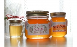 【ふるさと納税】ミツバチからの贈り物「非加熱 天然蜂蜜セット」