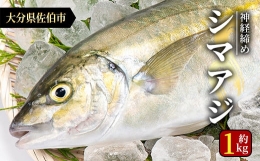 【ふるさと納税】鮮魚 シマアジ (1本・約1kg) 【AS87】【海べ (株)】