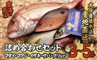 天然 鮮魚詰め合わせ (合計約2.8-3.2kg・3種以上) 【CS01】【(有)丸昌水産】