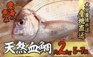 天然 血鯛 (約2kg・計5-7枚)  【CS03】【 (有)丸昌水産】