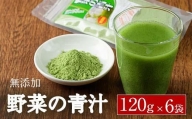 野菜の青汁 (計720g・120g×6P)  【EC02】【天然素材 (株)】