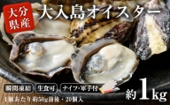 大入島 バージン オイスター 牡蠣 約1kg (1個約50g前後・20個入)生食可 冷凍【ED06】【(合)新栄丸】