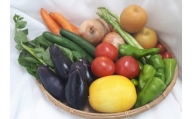 季節の地元野菜と果物詰合せセット