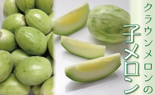 漬物にして美味しい！クラウンメロンの『子メロン』約４Kg 果物類 メロン青肉  53108 - 静岡県森町