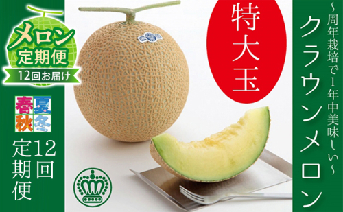 【メロン定期便】クラウンメロン（白等級） 特大玉  1玉 【12ヵ月連続】 果物類 メロン青肉  53109 - 静岡県森町