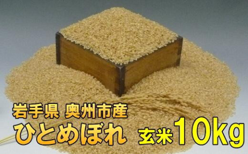 人気沸騰の米 令和7年産 岩手県奥州市産 ひとめぼれ 玄米 10kg 【7日以内発送】 おこめ ごはん ブランド米 [AC021] 531421 - 岩手県奥州市