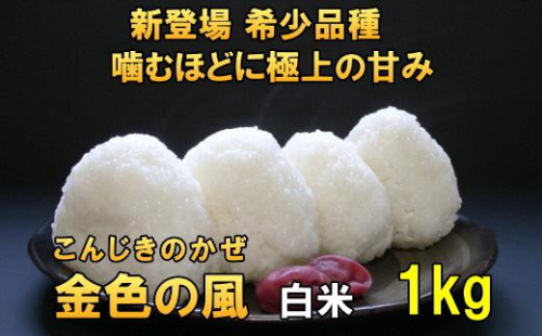 新登場の高級米 令和7年産 岩手県奥州市産 金色の風 白米1kg 【7日以内発送】 おこめ ごはん ブランド米 [AC024] 531424 - 岩手県奥州市