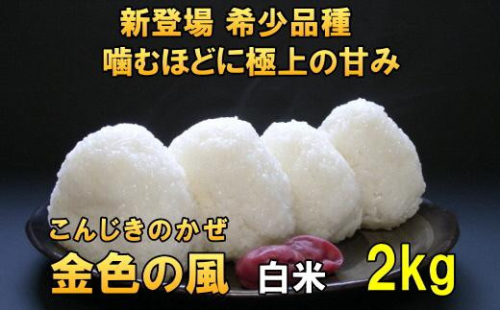 新登場の高級米 令和7年産 岩手県奥州市産 金色の風 白米 2kg 【7日以内発送】 おこめ ごはん ブランド米 [AC025] 531426 - 岩手県奥州市