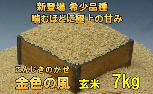 新登場の高級米 令和7年産 岩手県奥州市産 金色の風 玄米 7kg 【7日以内発送】 おこめ ごはん ブランド米 [AC028] 531433 - 岩手県奥州市
