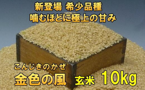 新登場の高級米 令和7年産 岩手県奥州市産 金色の風 玄米 10kg 【7日以内発送】 おこめ ごはん ブランド米 [AC030] 531437 - 岩手県奥州市