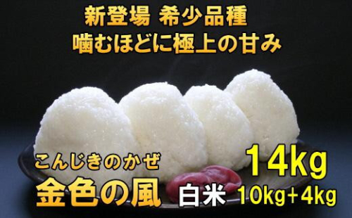新登場の高級米 令和7年産 岩手県奥州市産 金色の風 白米14kg 【7日以内発送】 おこめ ごはん ブランド米 [AC032] 531440 - 岩手県奥州市