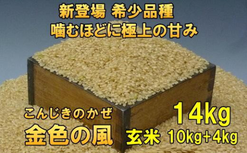 新登場の高級米 令和7年産 岩手県奥州市産 金色の風 玄米14kg 【7日以内発送】 おこめ ごはん ブランド米 [AC032] 531441 - 岩手県奥州市
