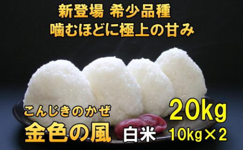 新登場の高級米 令和7年産 岩手県奥州市産 金色の風 白米20kg 【7日以内発送】 おこめ ごはん ブランド米 [AC034] 531444 - 岩手県奥州市