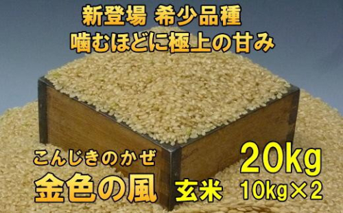 新登場の高級米 令和7年産 岩手県奥州市産 金色の風 玄米20kg 【7日以内発送】 おこめ ごはん ブランド米 [AC034] 531445 - 岩手県奥州市
