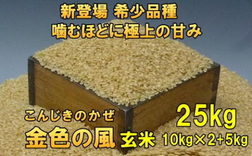 新登場の高級米 令和7年産 岩手県奥州市産 金色の風 玄米25kg 【7日以内発送】 おこめ ごはん ブランド米 [AC035] 531447 - 岩手県奥州市