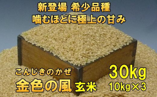 新登場の高級米 令和7年産 岩手県奥州市産 金色の風 玄米30kg 【7日以内発送】 おこめ ごはん ブランド米 [AC036]  531449 - 岩手県奥州市