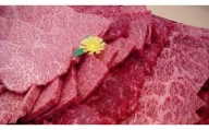 Y-03近江牛焼き肉（赤身・カルビ部位）0.5㎏
